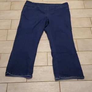 Westbound Woman 24W Regular Indigo Jeans